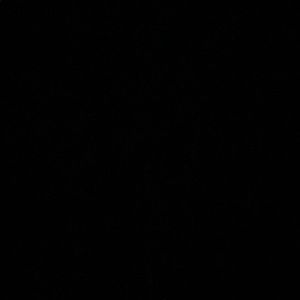 Meet your Posher, Nareh